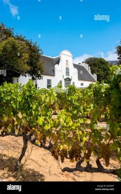 Il Castello di Groot Constantia: Un gioiello architettonico immerso nella storia vinicola sudafricana!