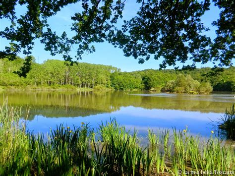  Il Giardino Botanico di Rizhao: Un'oasi verdeggiante per la tua anima zen!