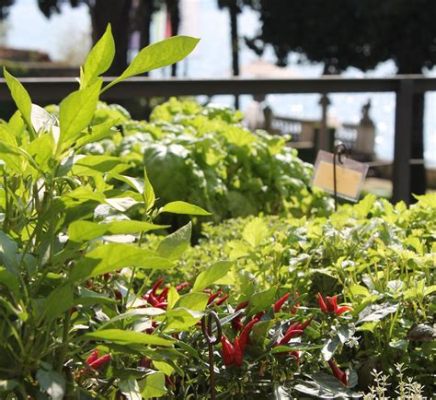  Il Giardino delle Erbe Aromatiche: Un'oasi di profumi e sapori nel cuore di Yuxi!